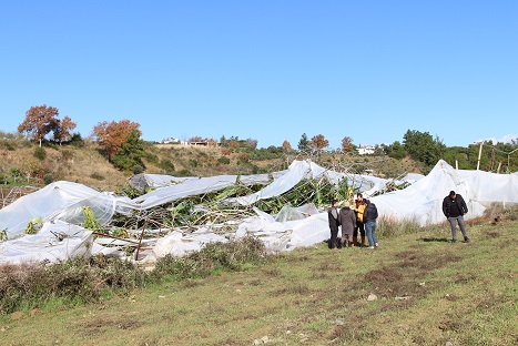 Manavgat’ta hasar tespit çalışması yapıldı